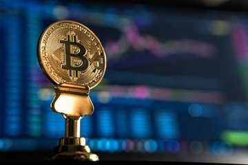 Tips Mudah Sebelum Beli Cryptocurrency Bitcoin
