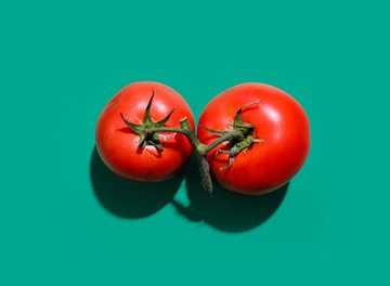 Cara Merawat Tanaman Tomat Dengan Baik Dan Benar