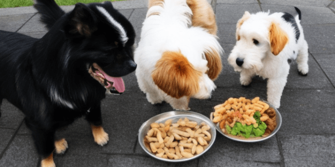 Bolehkah Anjing Makan Daging Babi
